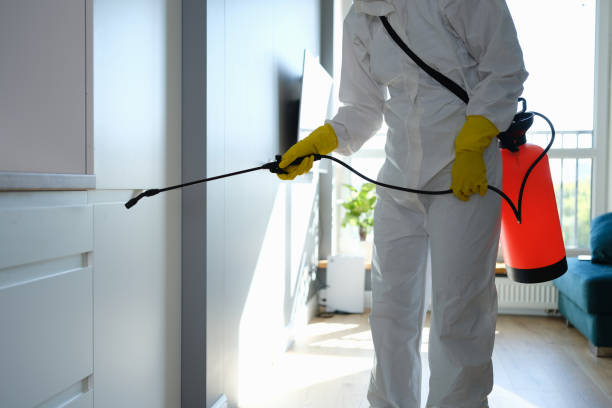 Best Professional Mold Removal  in Greenhills, OH